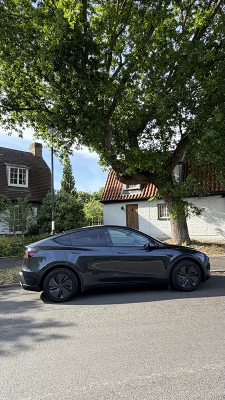 Side profile of the Model Y under a tree