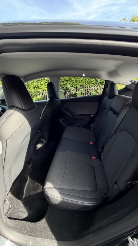 Rear bench, hedge visible through window